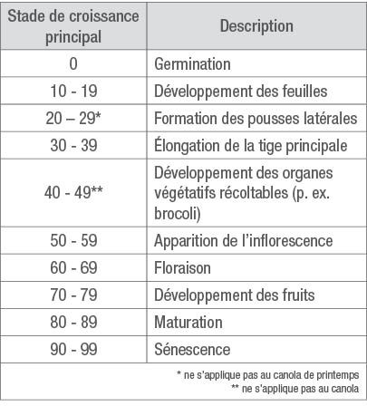 Stades de croissance selon le code BBCH